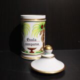 Porcelain pharmacy pot