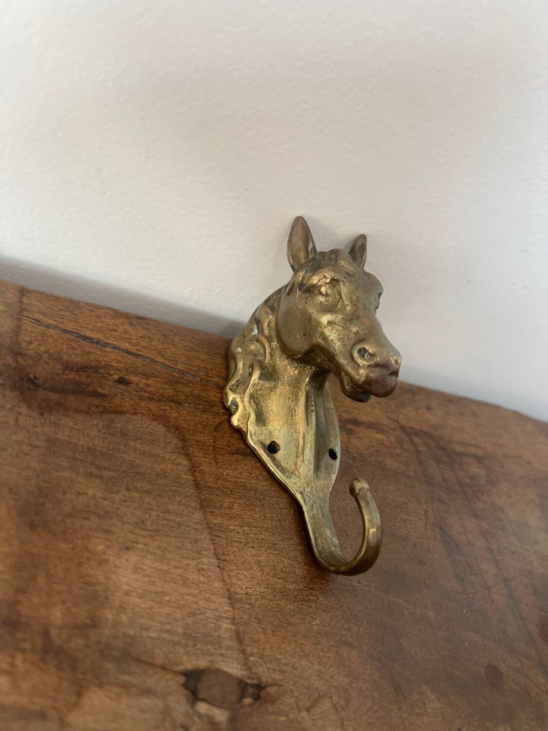 Horse head coat hook