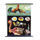 🔎 Jung Koch Quentell school poster "chicken" 1971