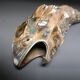 Bottle opener, bottle opener, mother-of-pearl fish