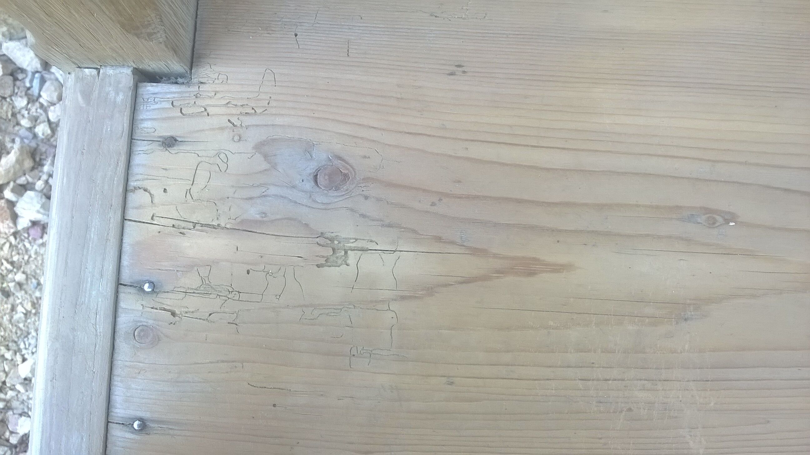 Paires grand banc d'église