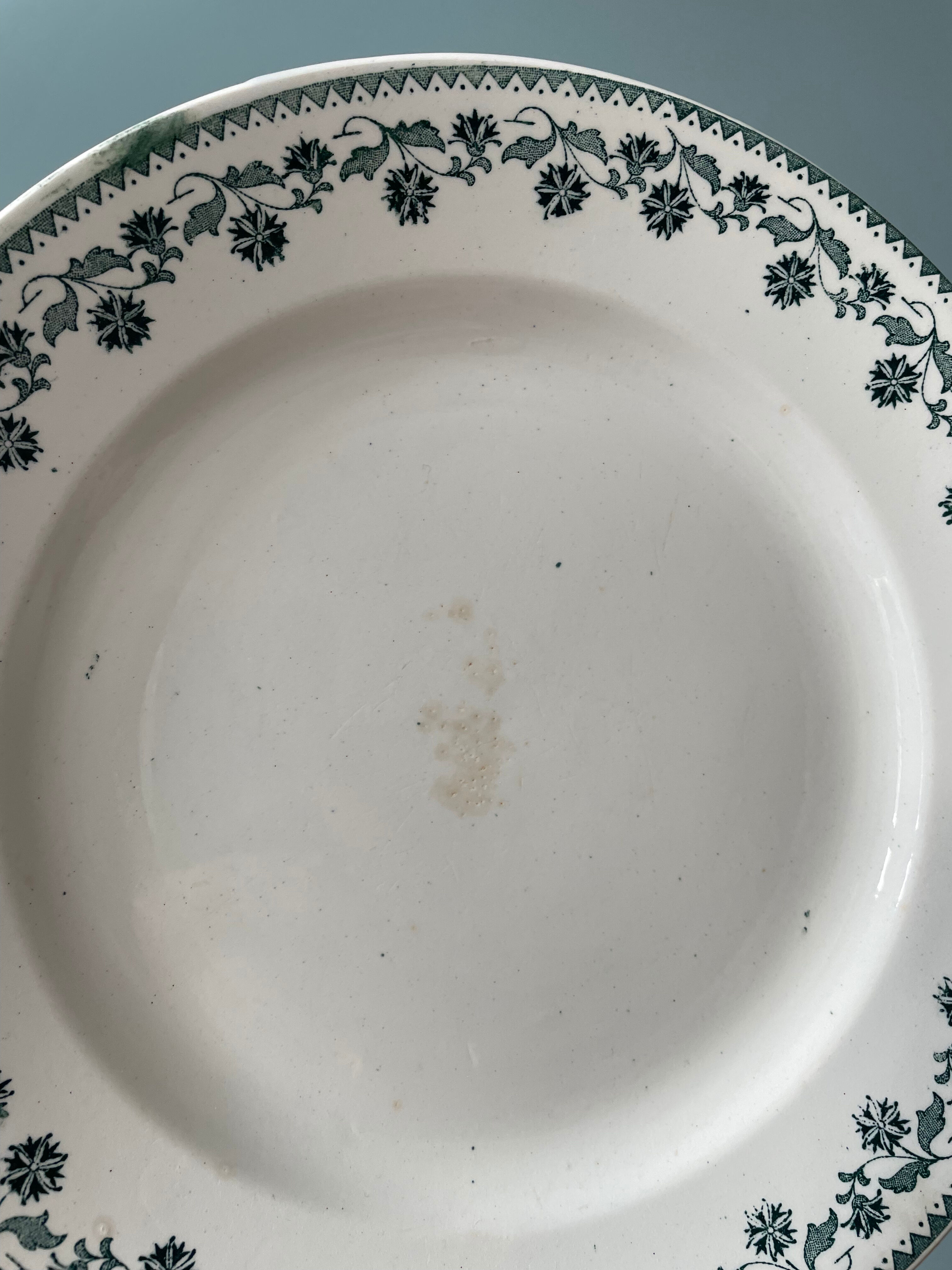 Set of 9 flat plates georgette Moulin des Loups & Hamage collection