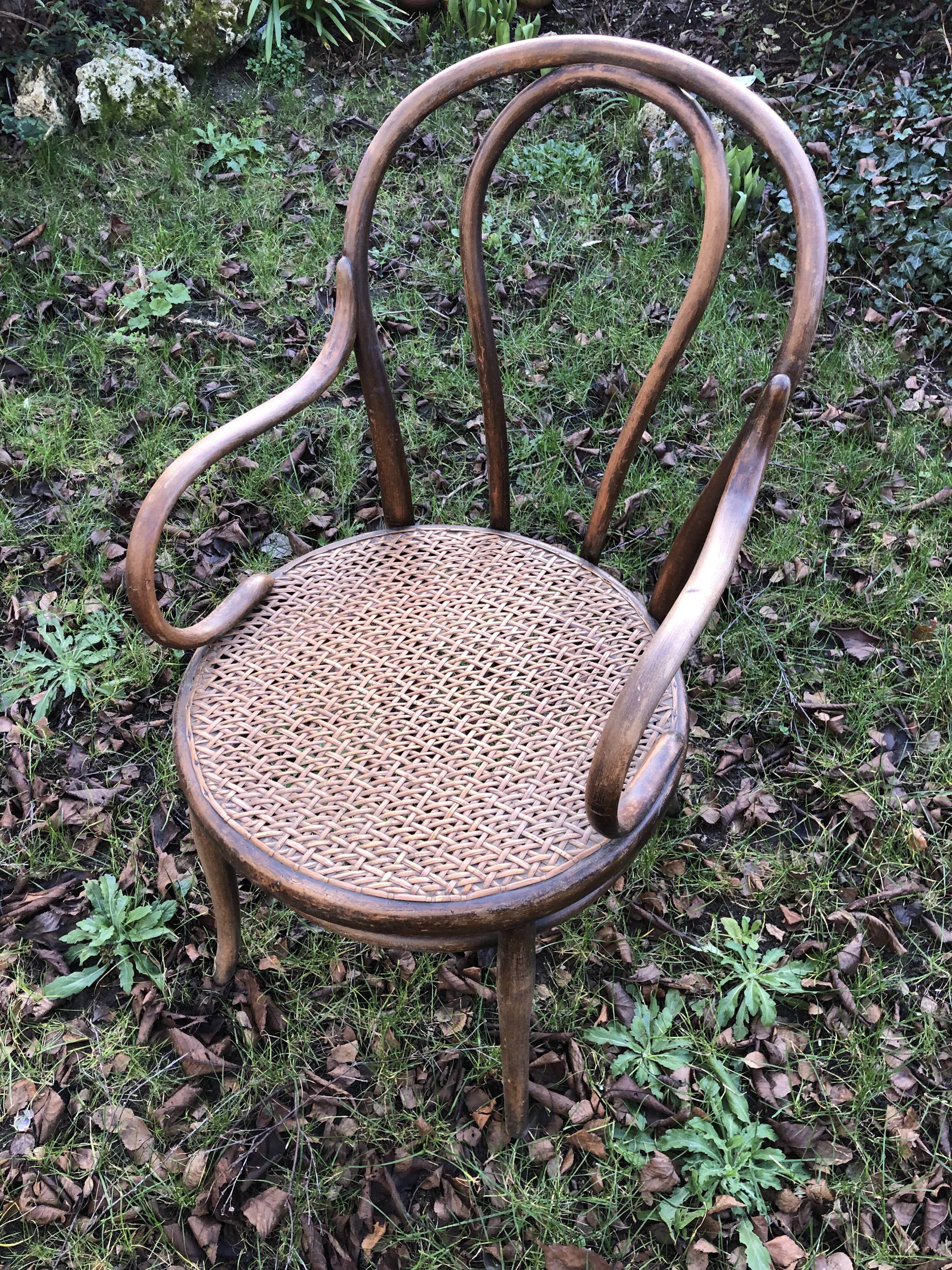 Tuna armchair