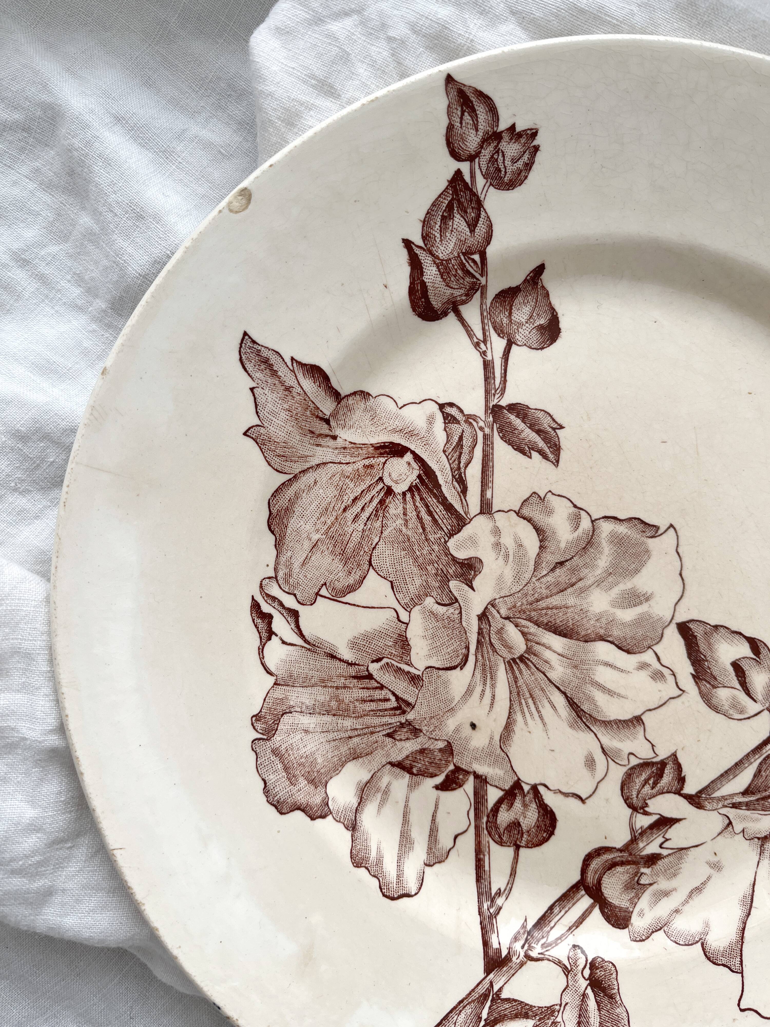 Assiette à dessert en terre de fer "Trémières" faïencerie de Salins