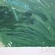 Nancy delouis: the provençal garden in spring, original signed lithograph