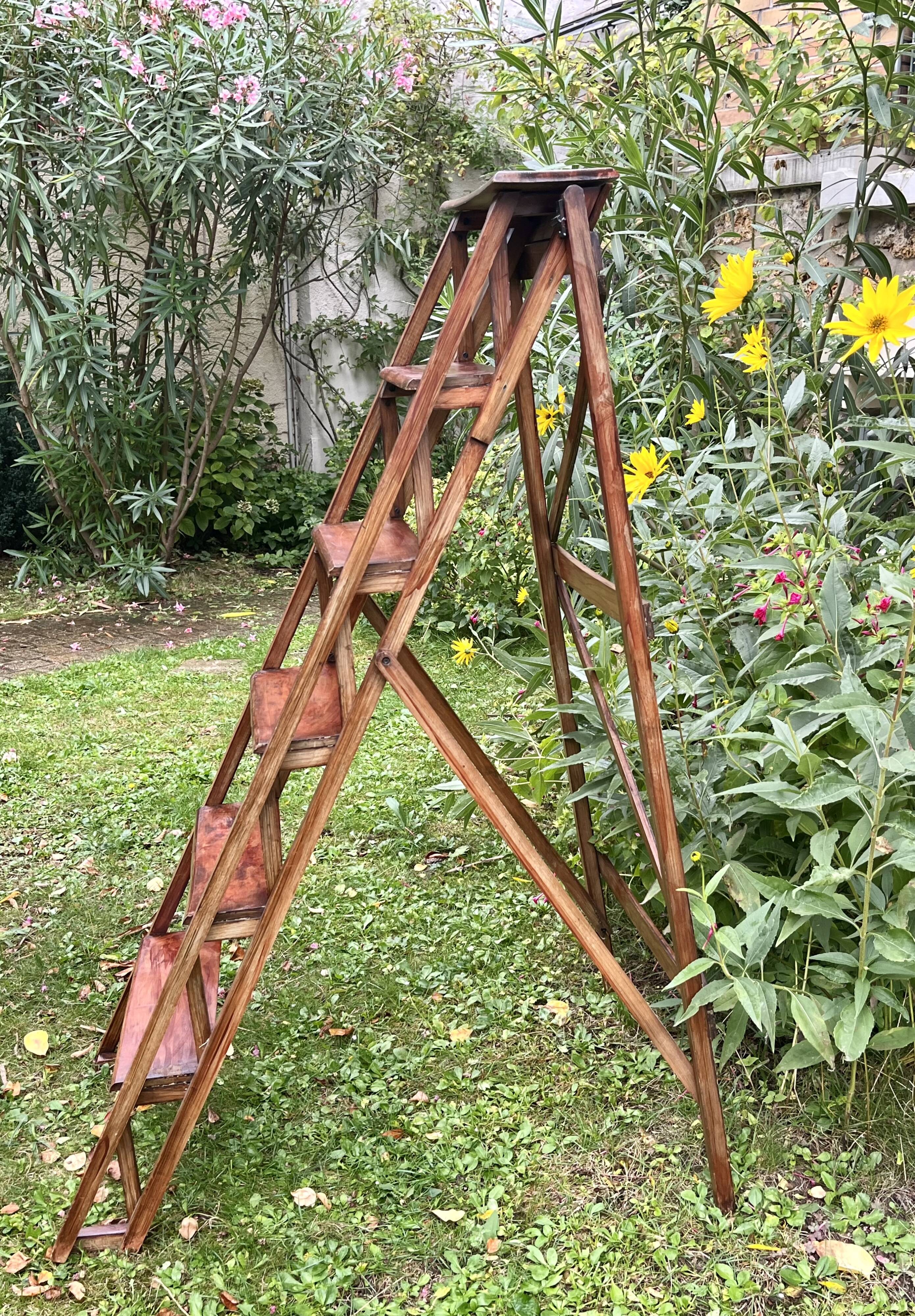 Stepladder - Painter's ladder - Folding