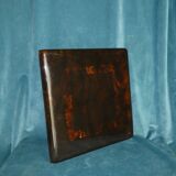 Lucite faux ecaille de tortue tray circa 1970