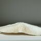Corail blanc Fungia 24 cm