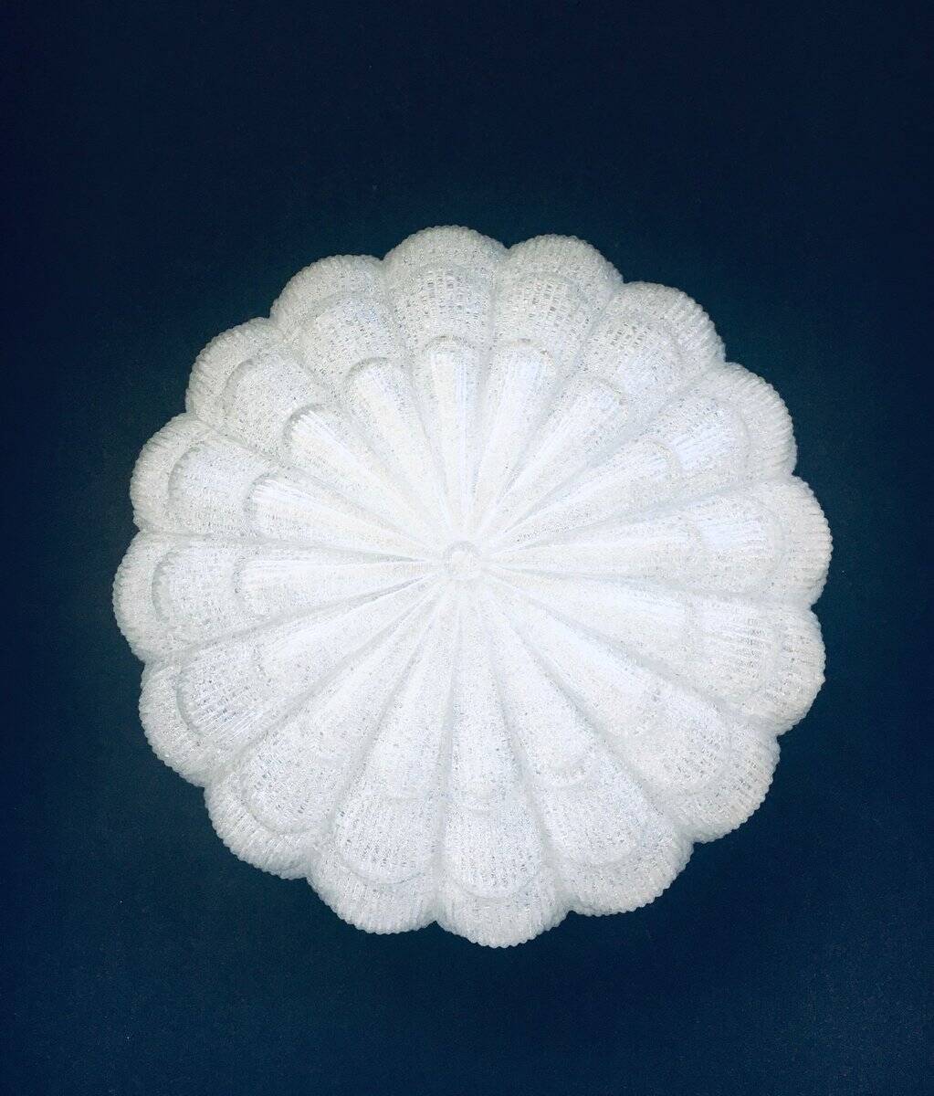 Large Frosted Flower Glass Sconce Wall Lamp from MCM, 1960s