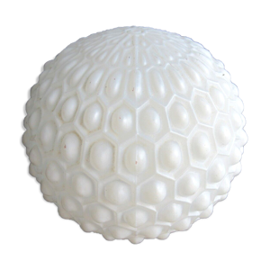 globe de lampe en verre