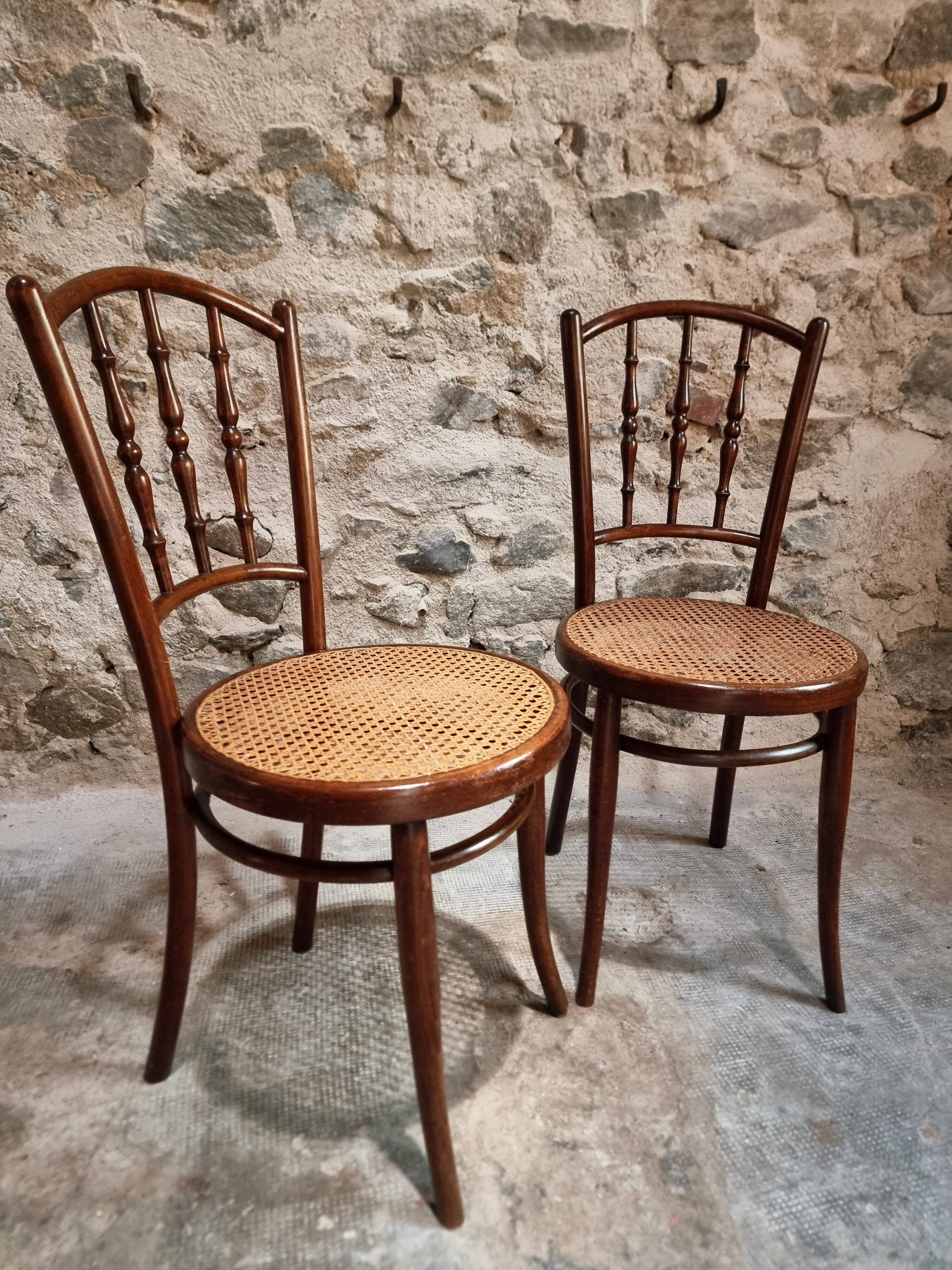 2 chaises bistrot viennoises Kohn antiques en bois courbé et cannage, Autriche vers 1900–1930