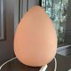 Vintage egg lamp