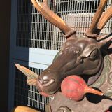 Hunting Trophy