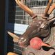 Hunting Trophy