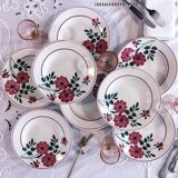 set of 8 hollow plates Primerose Ceranord