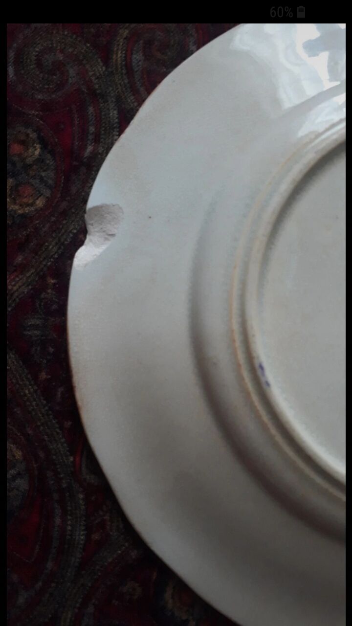 U&G Sarguemines Épine Plate