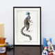 Chimère lithographie gravure animal - le ouistigeon