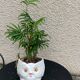Cache pot owl glazed ceramic white slip earthenware siol Portugal