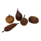 Ensemble de cinq fruits décoratifs en teck