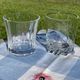 Set of 7 old whisky glasses, matching models.