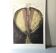 Color Etching  Antonia Dombrowsky 1991-  Color Engraving - handmade Bütten-