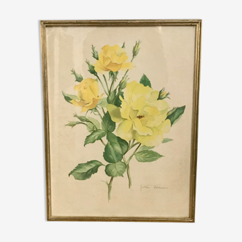 Planche botanique lithographie roses jaunes