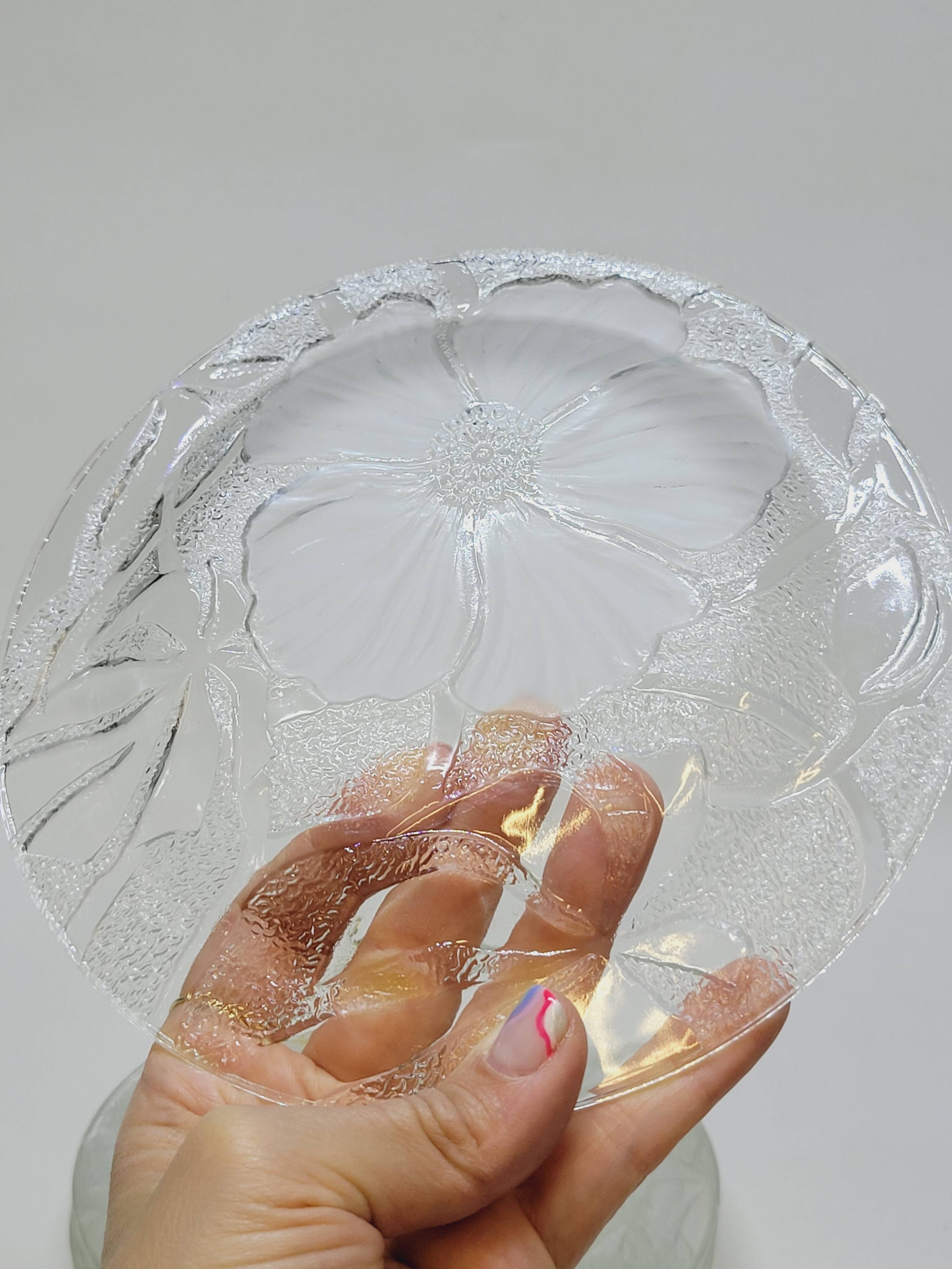 5 Small Transparent Frosted Glass Plates Vintage Floral Decor Kig Indo