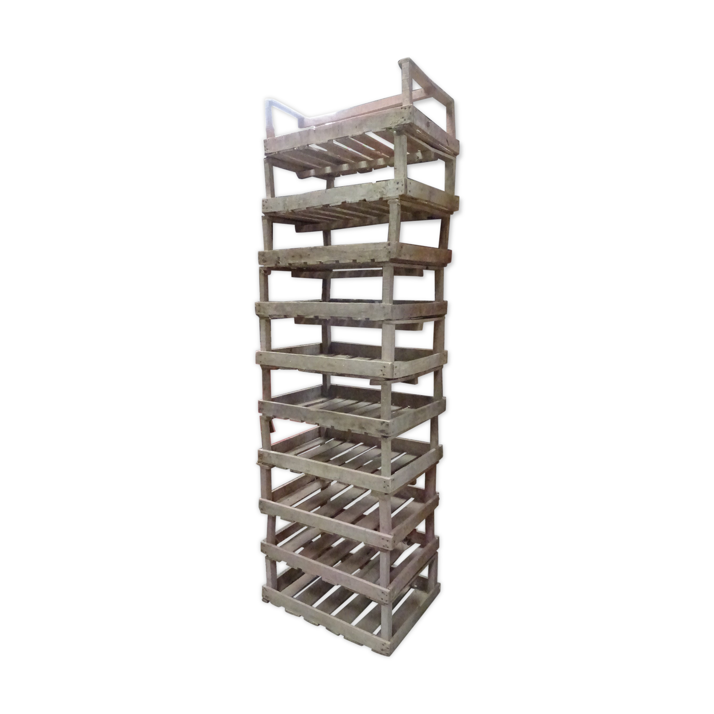 10 apple shelves