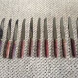 Series of 12 table knives
