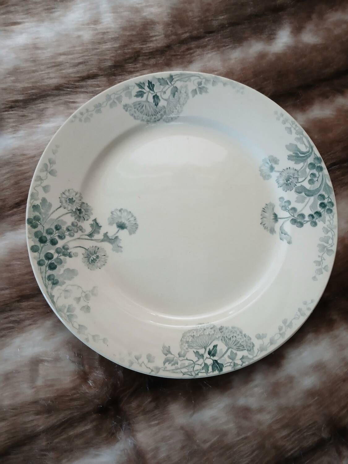 12 antique flat plates in ironstone