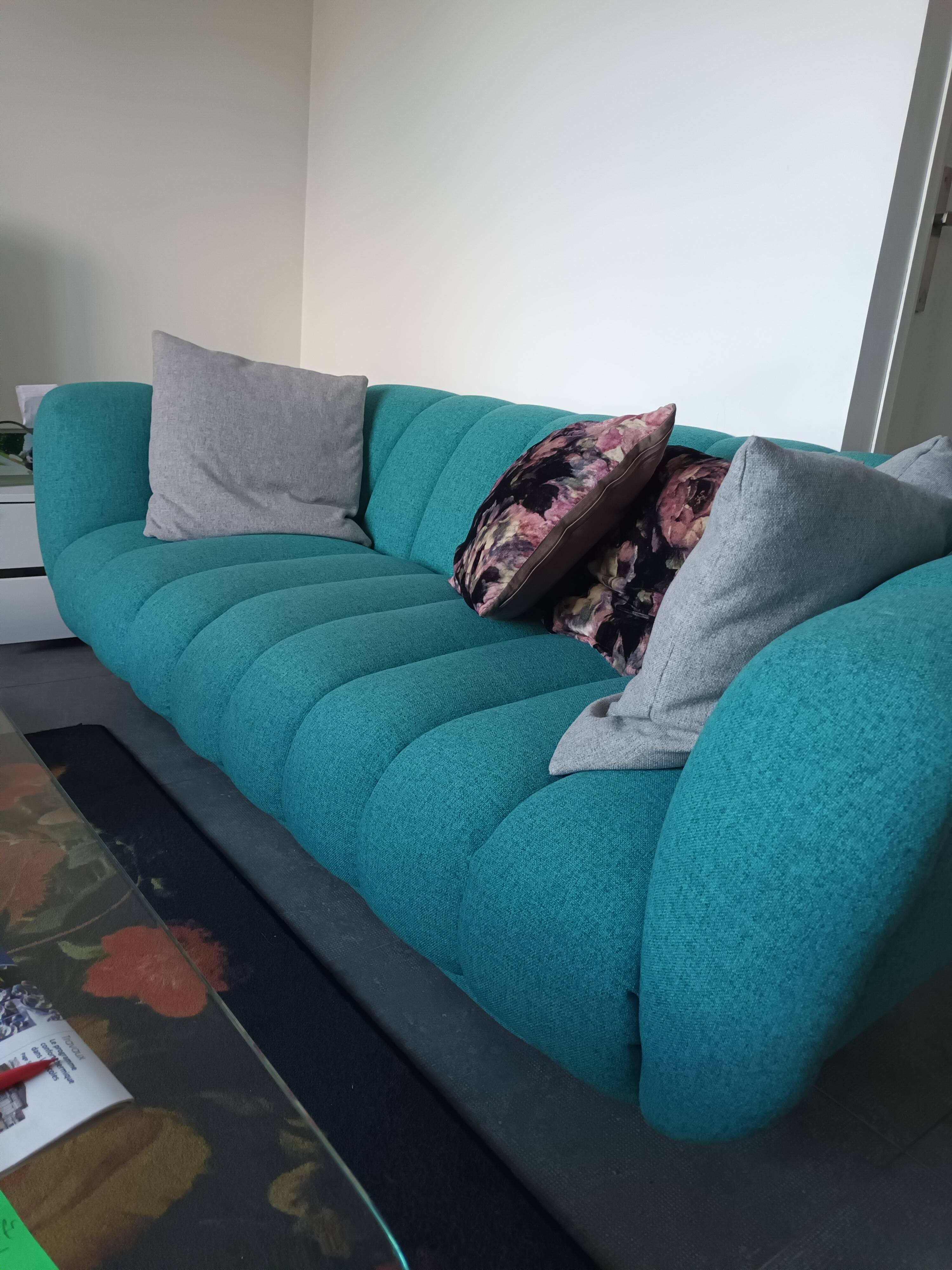 Set of 2 sofas and 2 poufs by Roche Bobois.