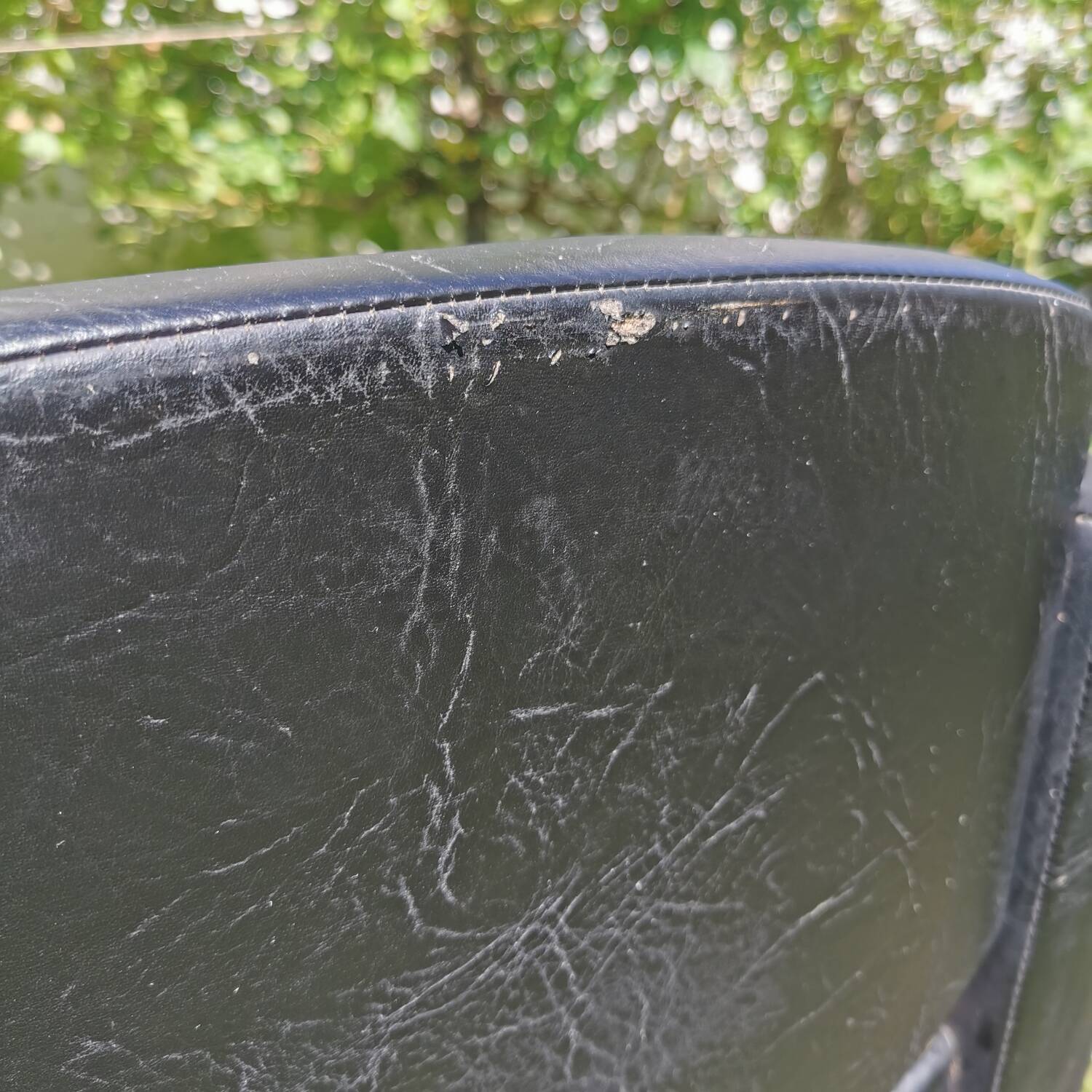 'Conseil' armchair by Pierre Gariche for Meurop 1960s