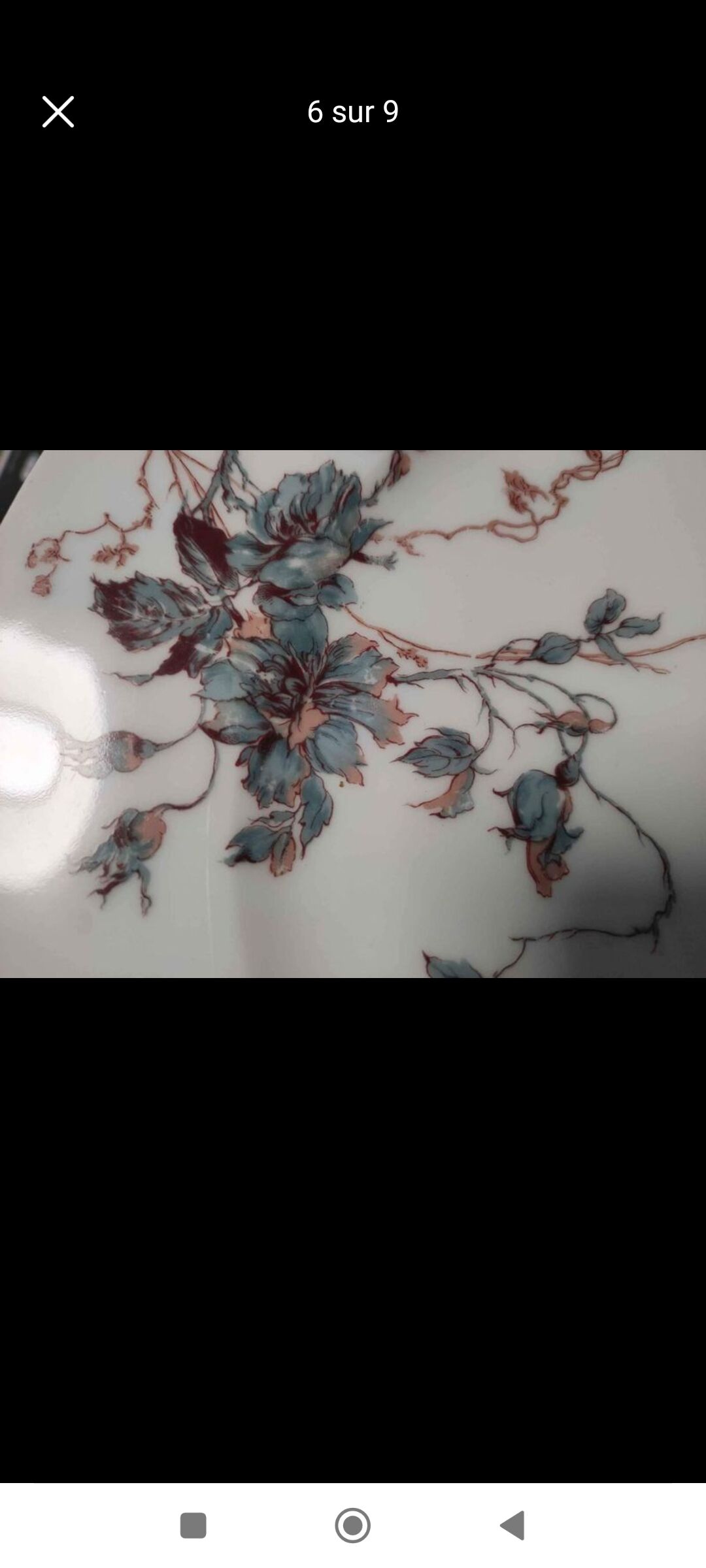 Penin violette porcelain plate in béthune (62)