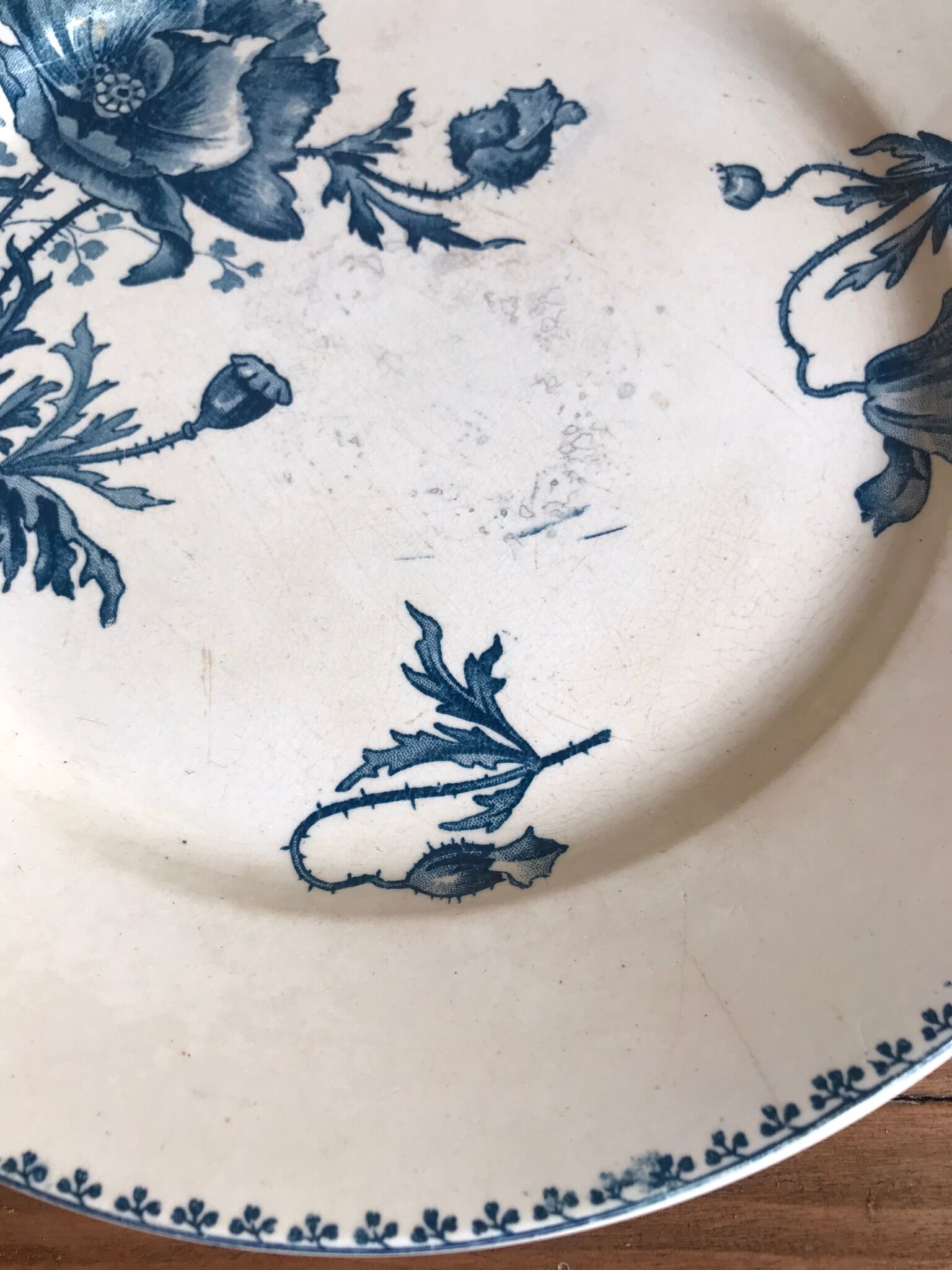 Flat plate U&C Sarreguemines - model Féria