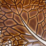 Leaf-shaped ceramic trivet