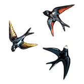 Vallauris birds