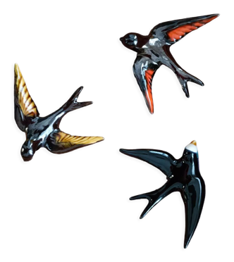 Oiseaux Vallauris