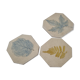Three enamelled ceramic under glass, footprints of plants from Canada