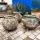 jardiniere vintage en ciment chaudron ou marmite 1950