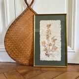 Vintage herbarium frame dried flowers 70s