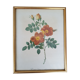 Illustration botanique vintage roses eglantier