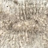 Large "shark cushion" coral 39cm