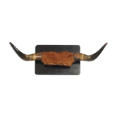 Cow's head horn and skull circa 1960