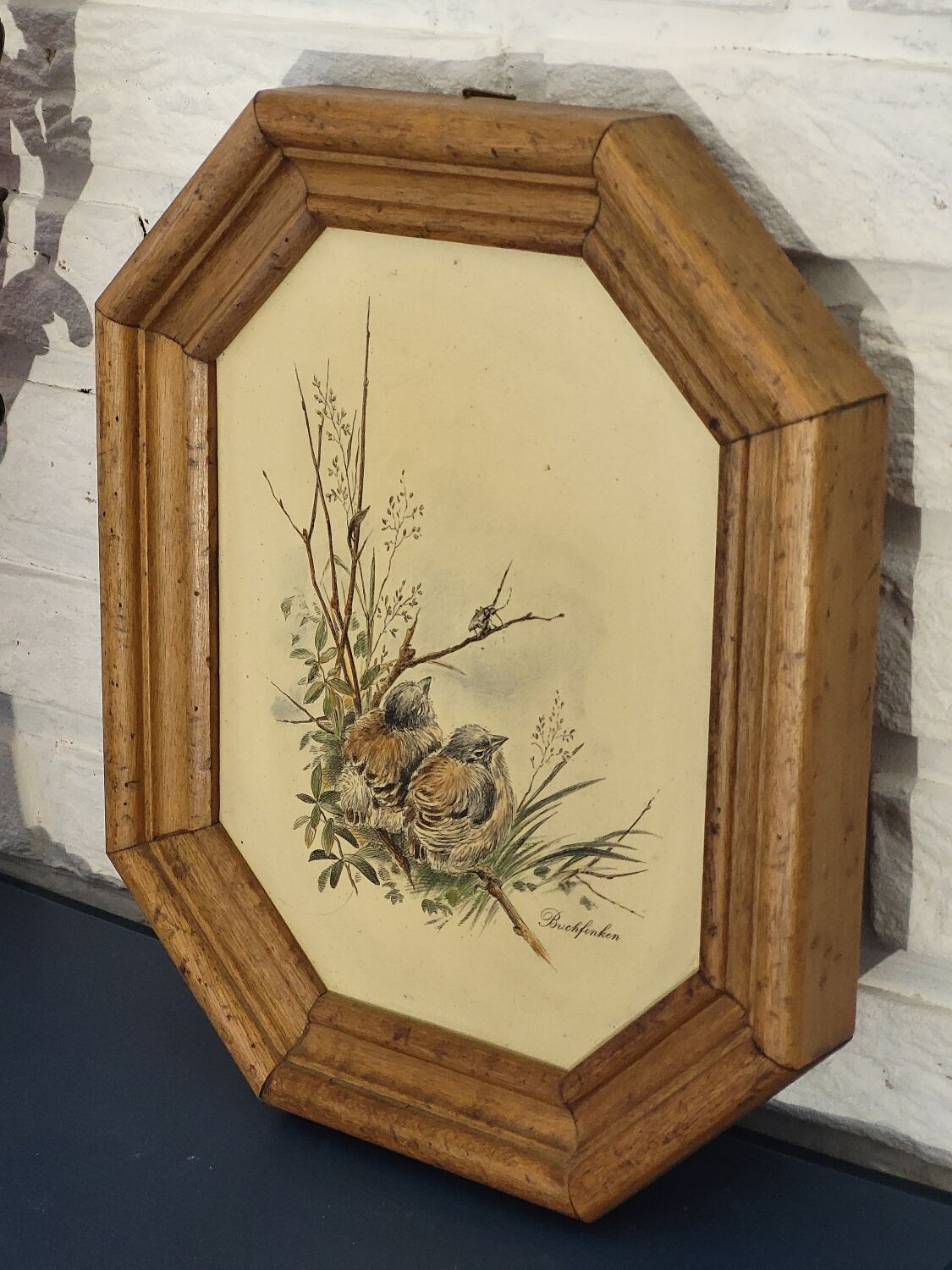 Illustration oiseaux vintage sur panneau