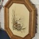 Illustration oiseaux vintage sur panneau