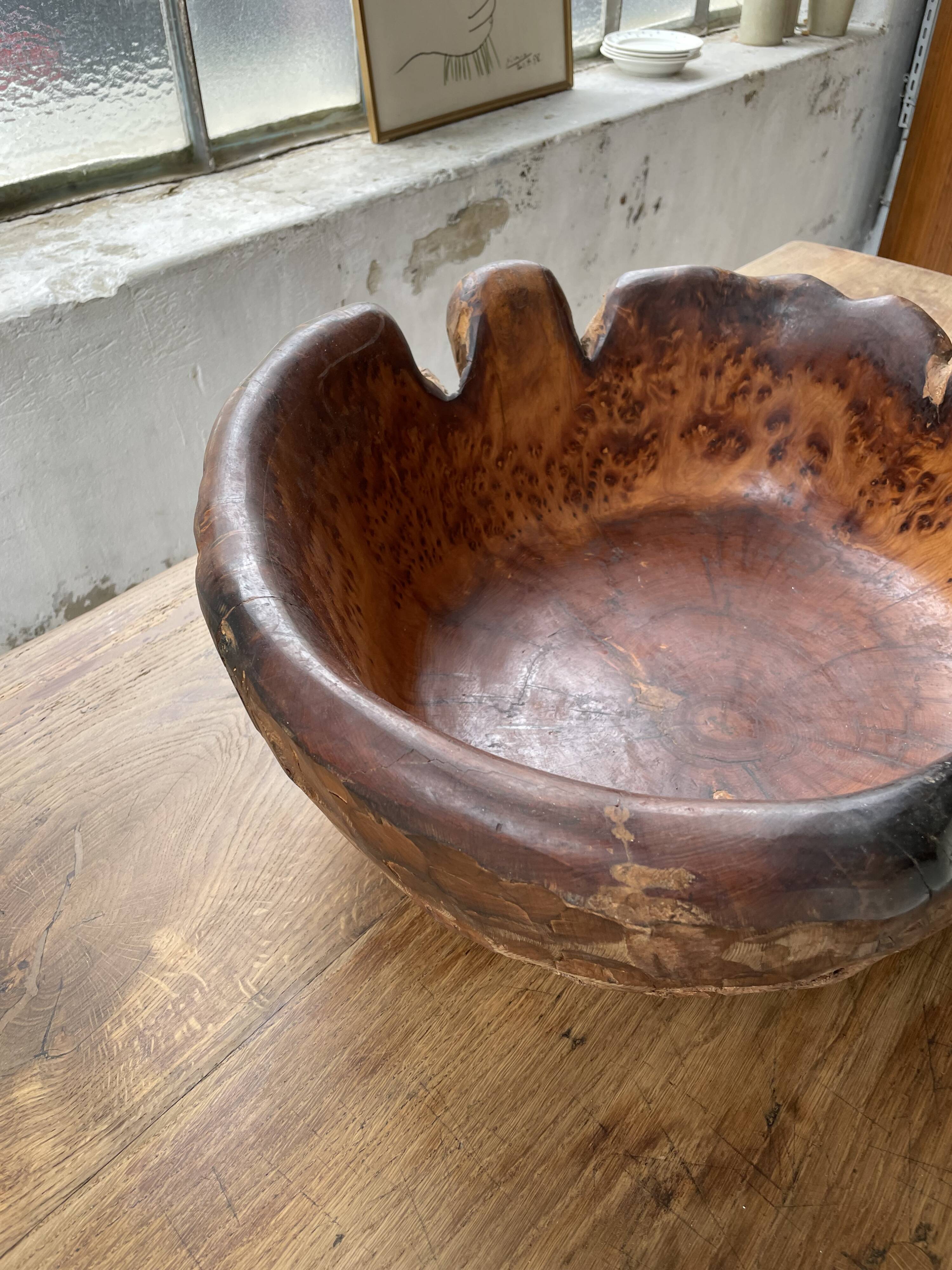XL thuja root wooden dish