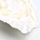Natural white shell dish, 1970s.