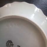 Shell-shaped tidy