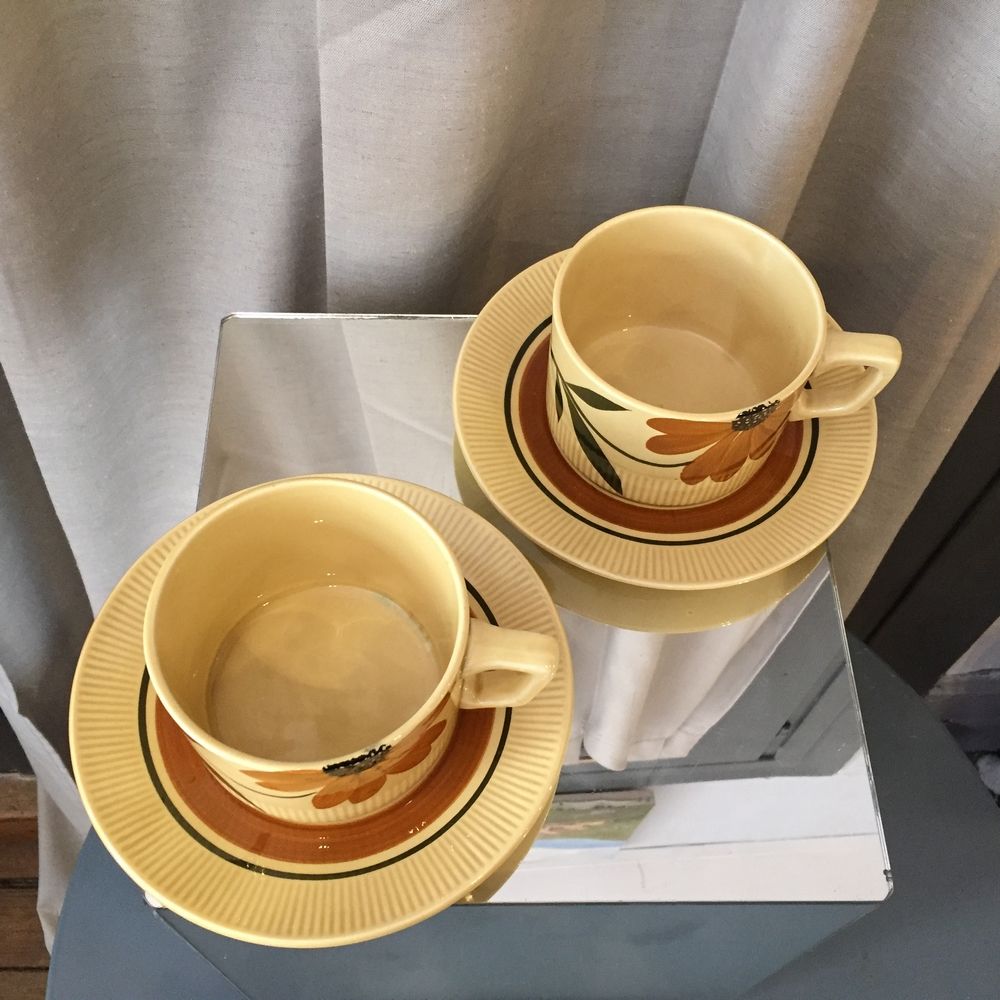 Duo of cups and under cups a chocolat or the vintage gien fleurs