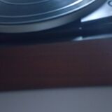 Dual turntable